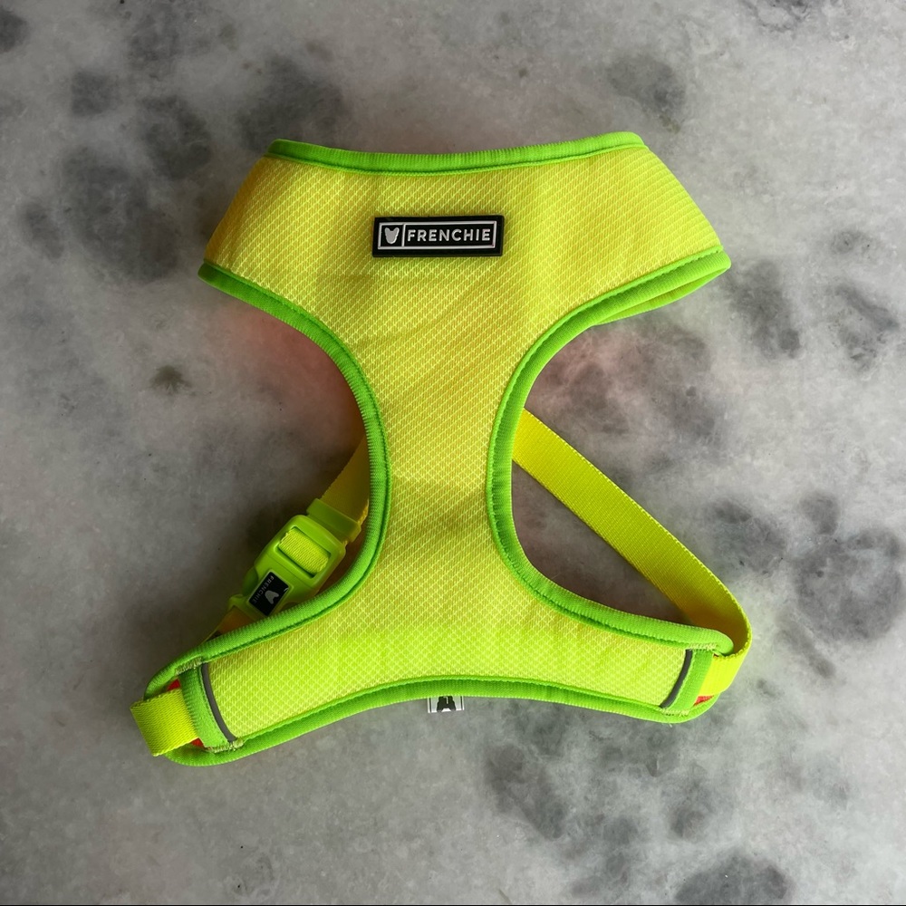 Frenchie Bulldog Dog Harness Reversible Yellow & Orange  Neon BNNW Size Large